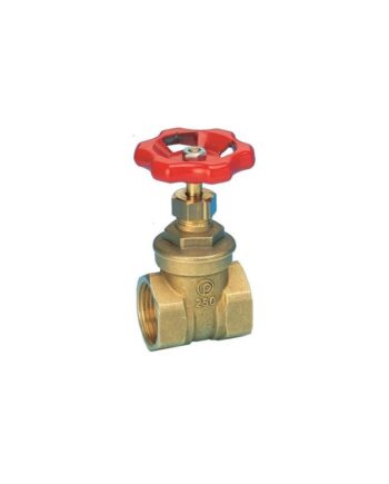 Pettinaroli Skydeventil Muffe       Quot  Messing